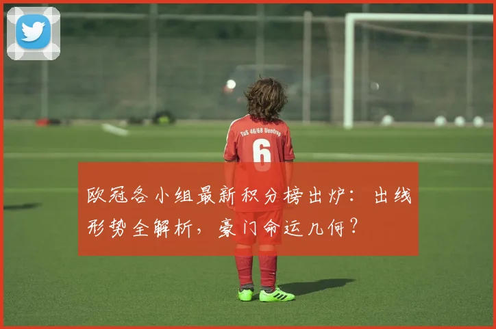 欧冠各小组最新积分榜出炉:出线形势全解析,豪门命运几何?