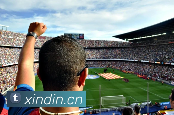 kaiyun开云官方网站APP 高清赛事图